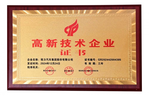 高新技术企业证书（集团2024年）