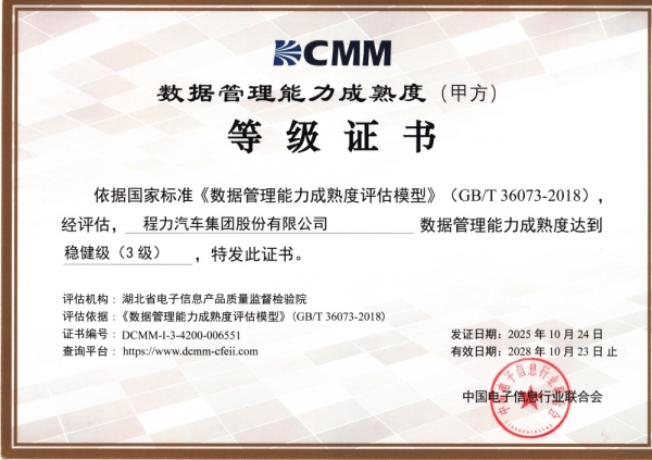 数据管理能力成熟度DCMM3级证书（集团）